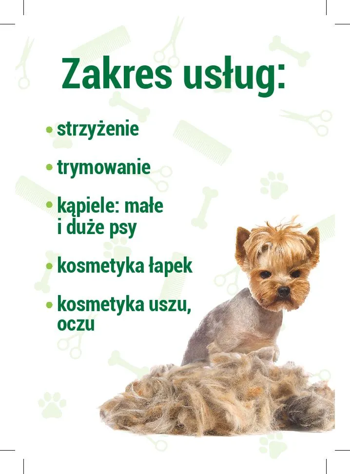 Ulotka Animal Spa – strona 2